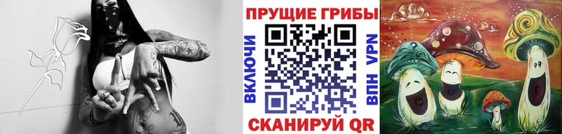 даркнет сайт  Карталы  Псилоцибиновые грибы мицелий 